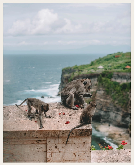 Bali